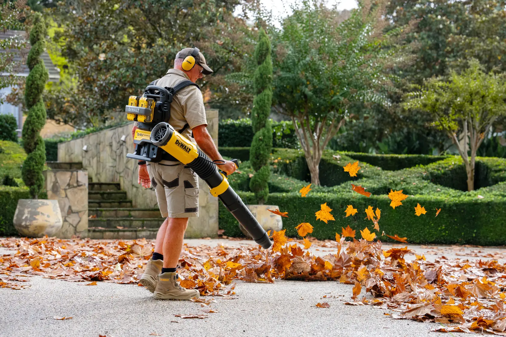 Person uses a DEWALT backpack leaf blower to clear fallen leaves in a garden.