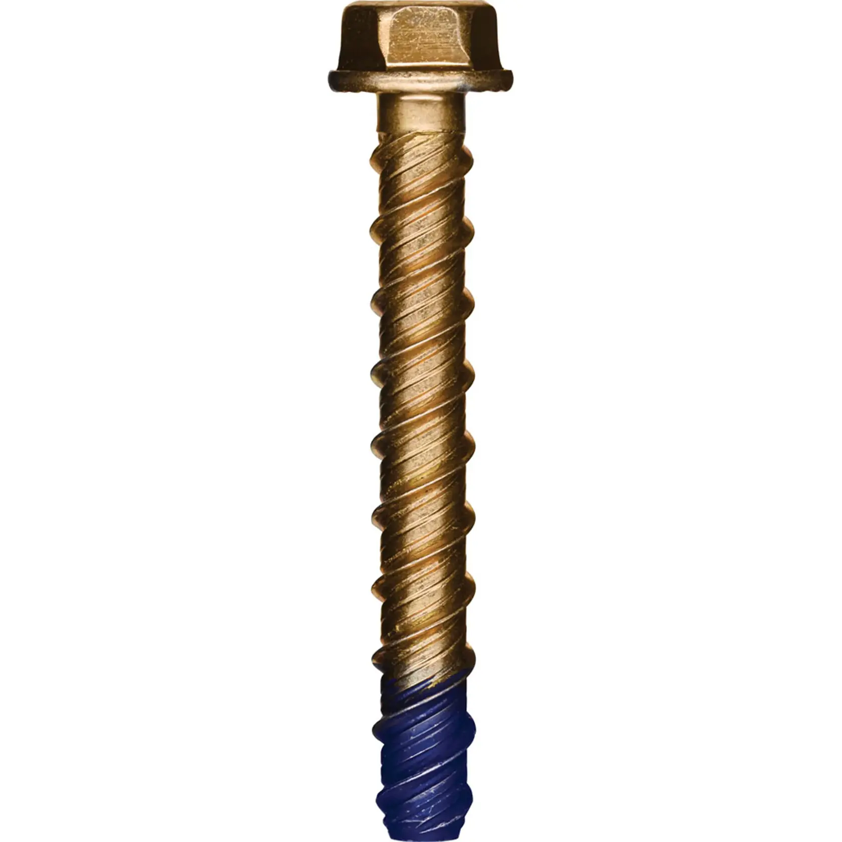 A close-up view of a single gold-colored hex-head concrete screw bolt with a blue tip, designed for use in construction and masonry applications.