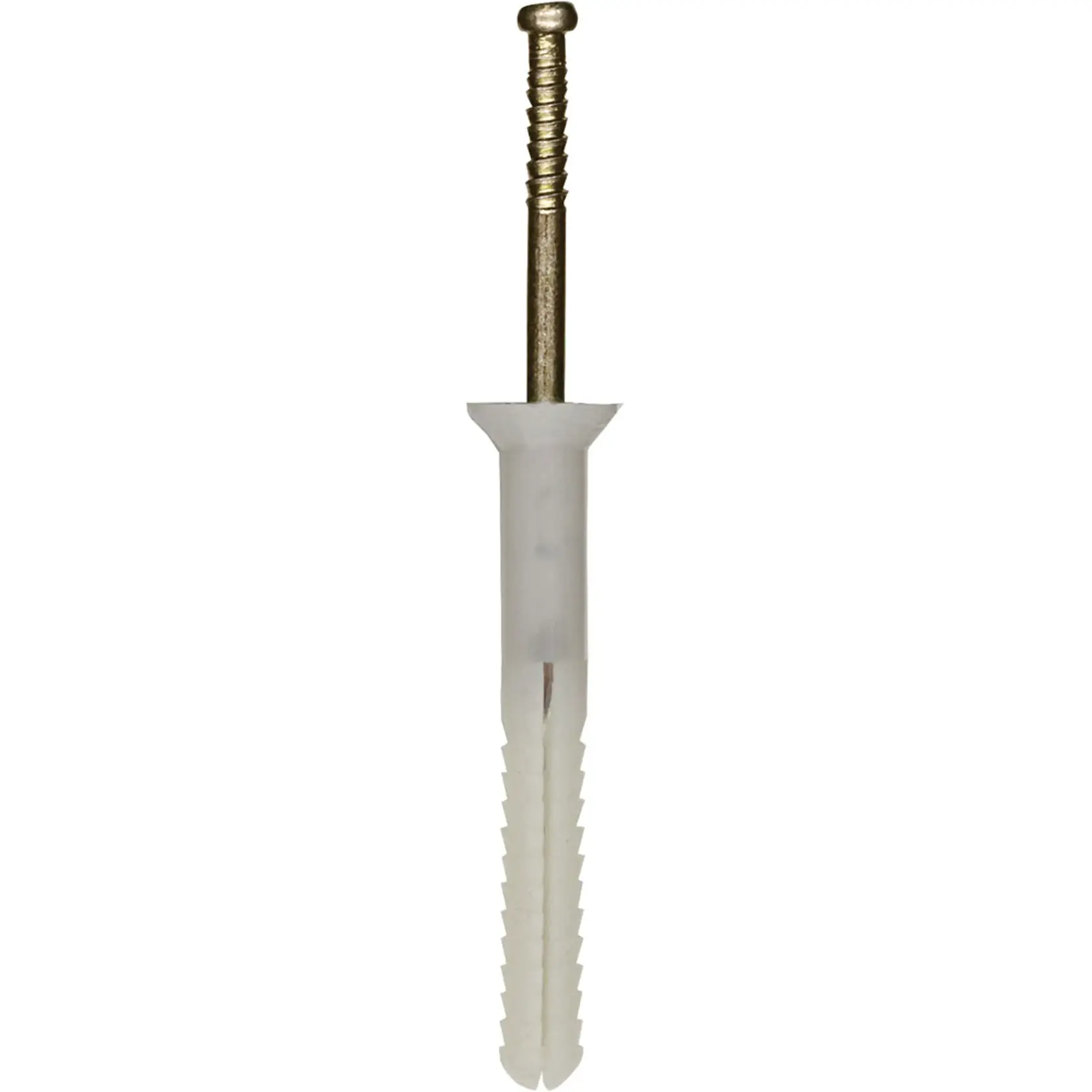 A close-up of a wall plug and metal nail, showing the DEWALT fastener with a plastic anchor and a screw used for securing objects to walls.